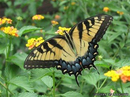 DeRidder Allen Acres Bed And Breakfast מראה חיצוני תמונה